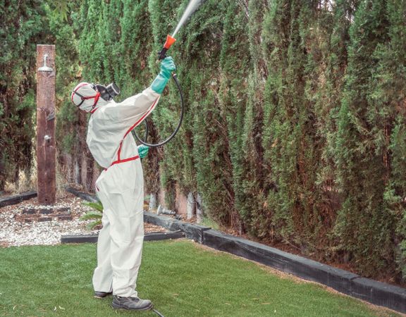 Fumigator in uniform spraying substance on garden