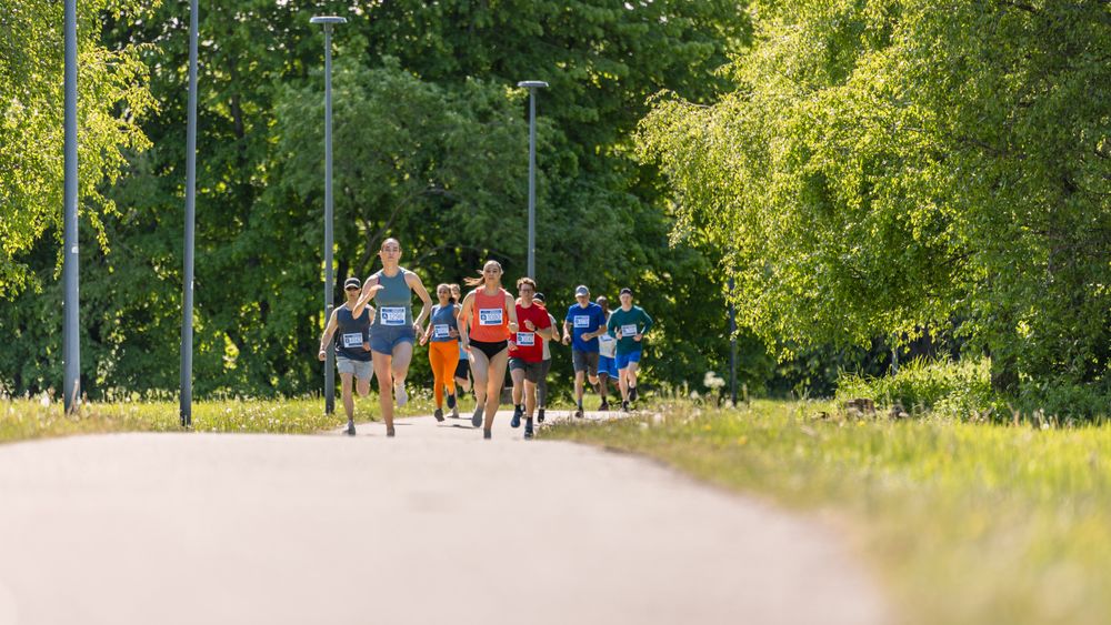 Diverse Marathon Participants Competing in a Race for the Finish Line: Group of People Running Through Park Health Trail and Participating in a Marathon with Dedication