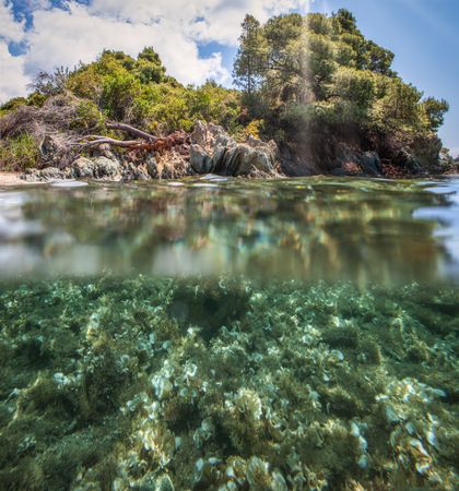 Stony island with bright greenery surrounded by water