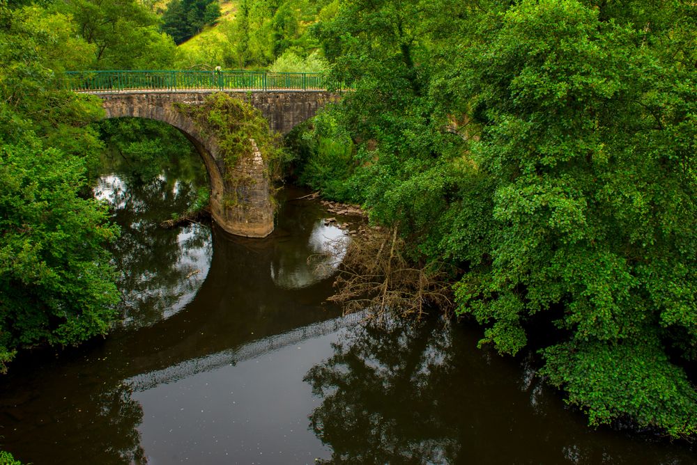 Tranquil river in green vegetation with aged bridge
