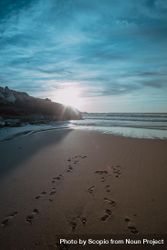 Human footprints on sandy shore 5Qy6N5