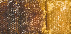 Close up, narrow horizontal composition of dark to light shaded honeycomb