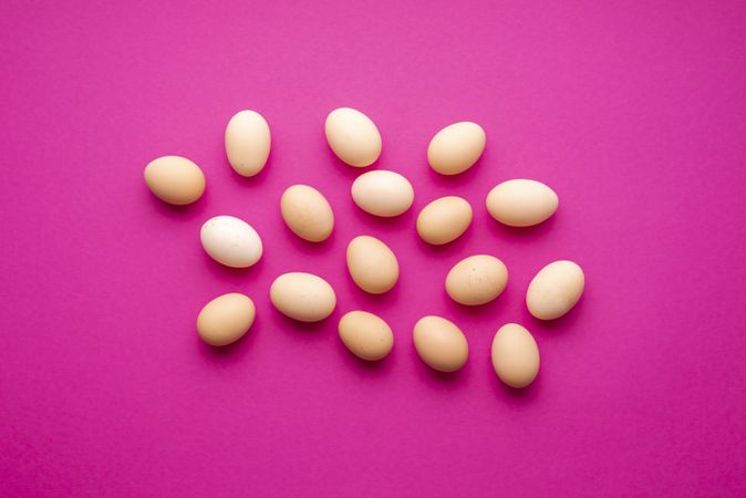 Chicken eggs flat lay on a pink colored background