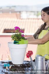 Female teenage potting a pink plant on patio bDjZXK