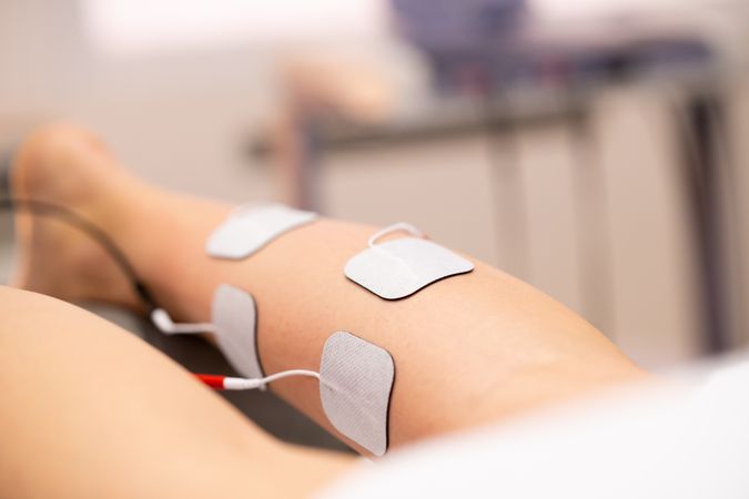 Calf with pads receiving electro stimulation for physiotherapy