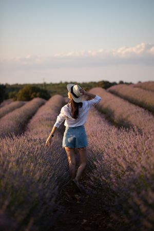 Anonymous woman walking in lavender field