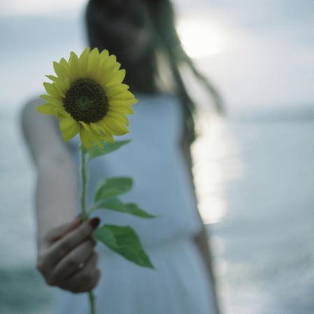 Selective focus photo of woman holding sunflower
