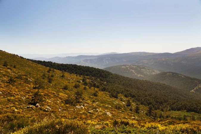 Picturesque landscape of green mountains in summer