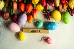 Flat lay of tulip flowers and dotted pastel eggs for spring