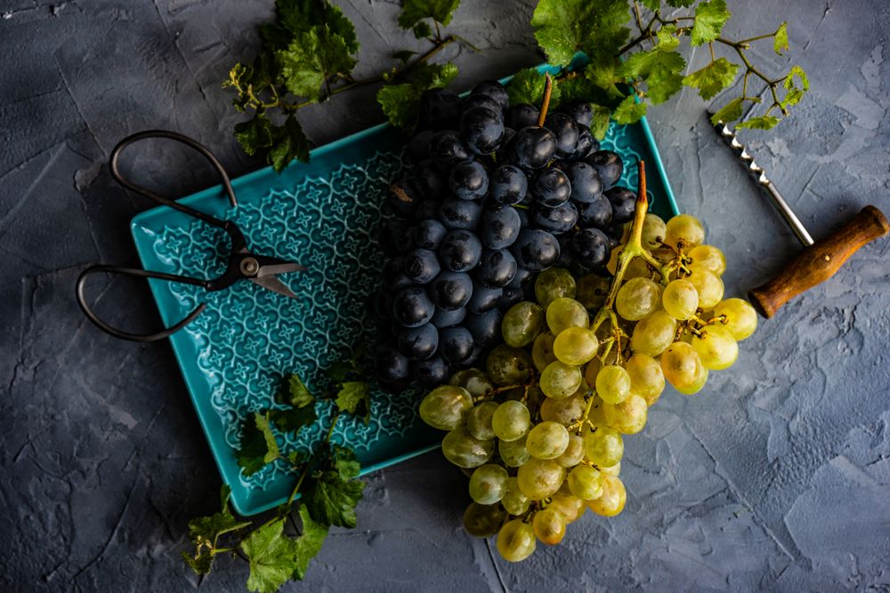 Top view of grapes on trey with wine opener and scissors