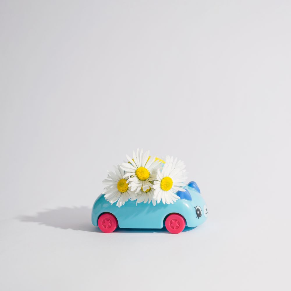 Cute blue toy car with daisy flowers