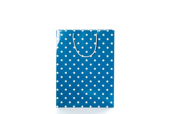 Color paper bag isolated on blank background
