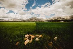 Big field and high hills in cloudy weather