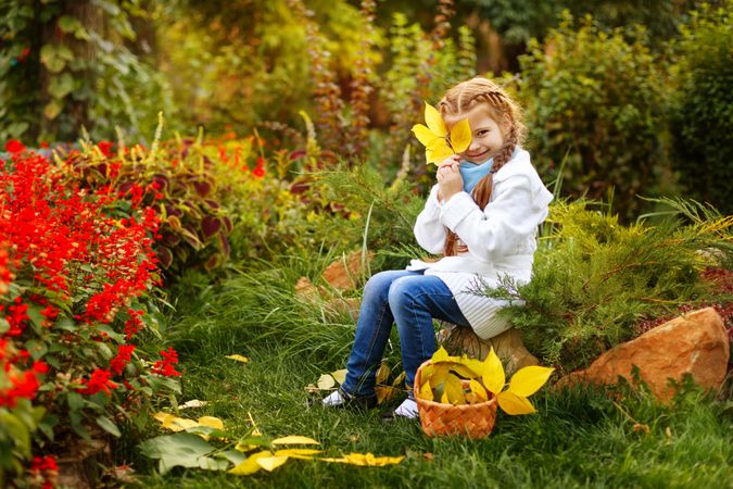 Blonde child hiding her face behind autumn leaves she’s collecting in park