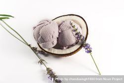 Top view of coconut shell with purple lavender ice cream and flowers 56jAl5