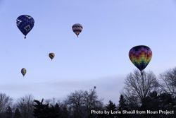 Hudson, WI, USA - February 8th, 2020: A sky with suspended colorful hot air balloons 5oZjQ0