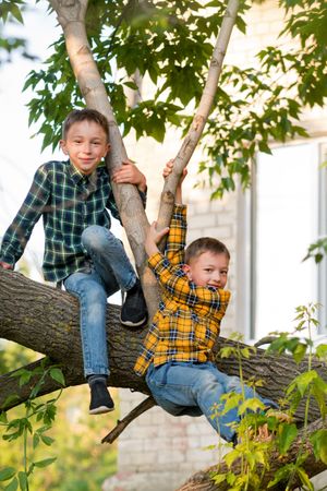 Happy brothers together