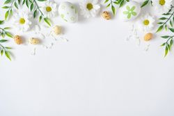 Daisies and eggs on light background