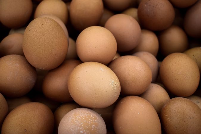 Close up of eggs for sale in market