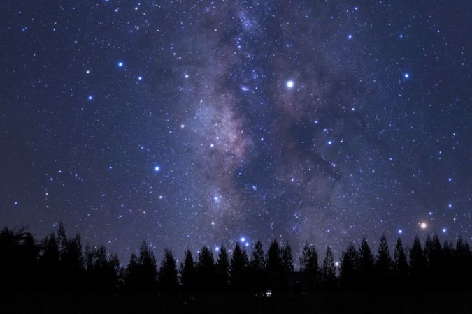 Beautiful milkyway and silhouette of pine tree on a night sky before sunrise.