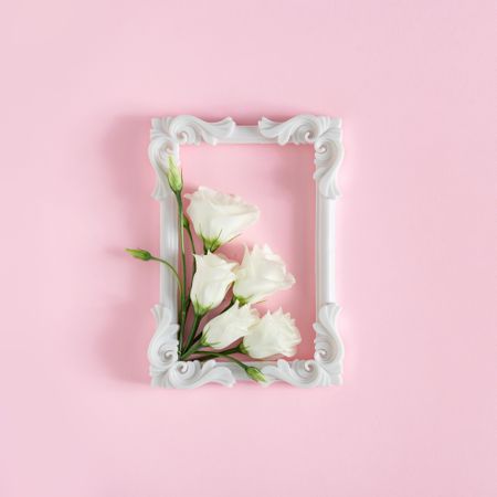 Rose flowers and light  frame