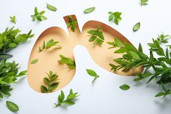 Close up of paper lung shape in beige surrounded by green foliage with copy space