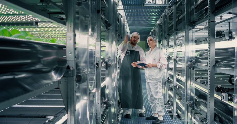 Agricultural Engineer and Biologist Having a Conversation at a Vertical Farm, Discussing Production Optimization at a Modern Hydroponics Facility. Gardener Providing Technical Advice to Employee