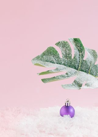 Christmas tree idea with snowy tropical leaf with ornaments sitting in snow