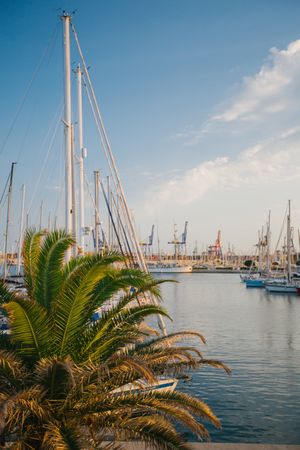 boat on water in port in sunny day