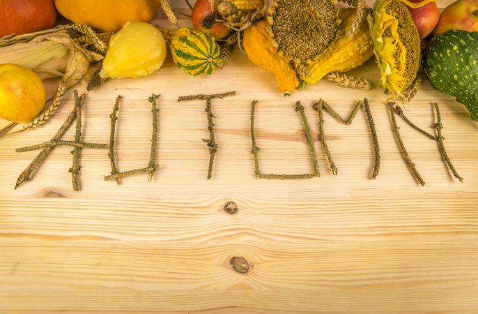 Autumn word and agricultural harvest