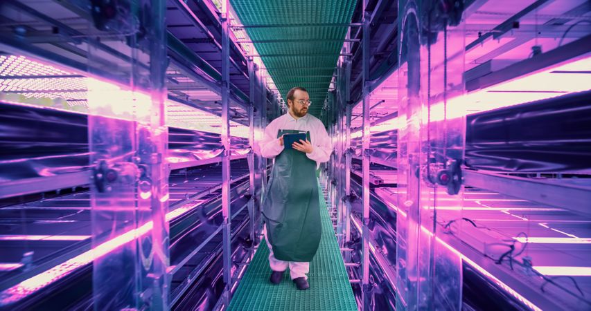 Farming Technician Walking Between Rows of Produce at Modern Vertical Farm With Neon Lights. Young Horticulturist in Protective Uniform Using Tablet Computer to Organize and Analyze Plant Information.