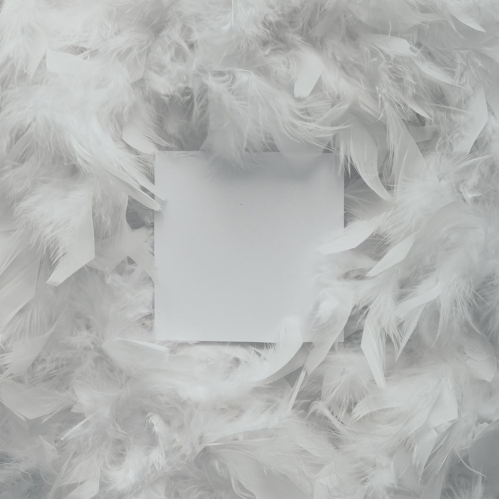 Bright feather texture, with paper card