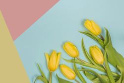 Fresh yellow flowers with green leaves