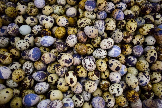 Top view of quail eggs for sale in market
