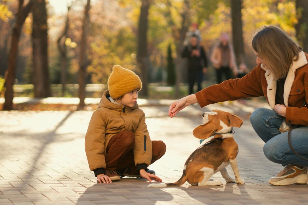 Family walks the dog