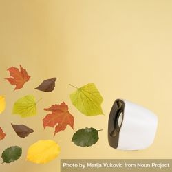 Music speaker with colorful leaves on beige background 5rJVd5
