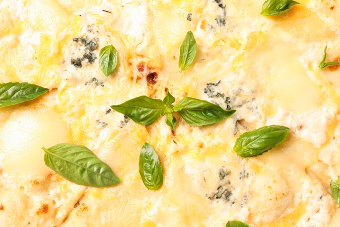 Cheese pizza with basil on whole background, close up