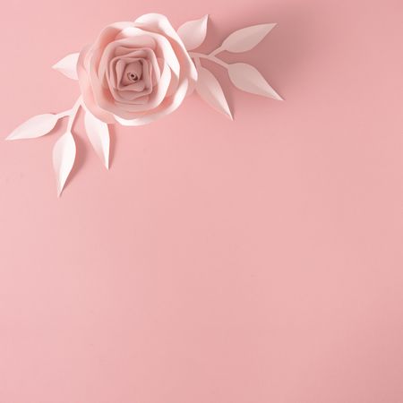 Paper rose flower, leaves and petals on pink background