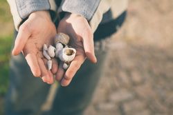 Crop hands holding seashells