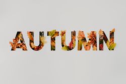 “AUTUMN” with colorful leaves cut out of light paper