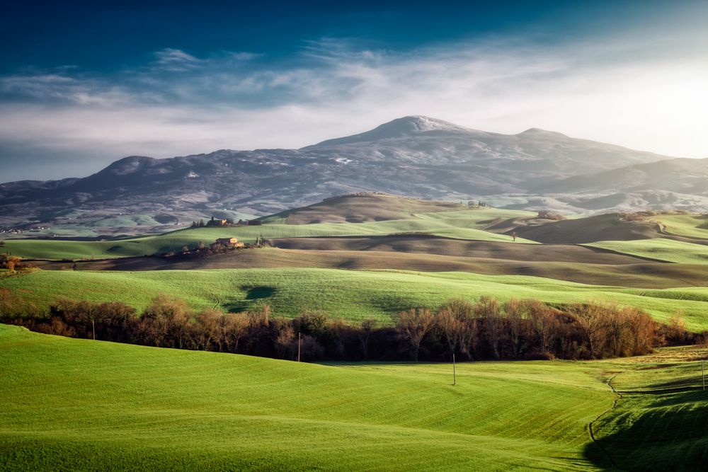 Wonderful empty green fields