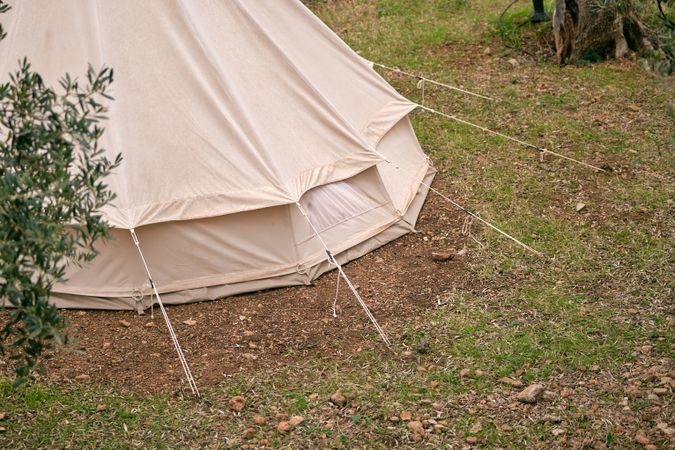 Camping tent on grassy ground