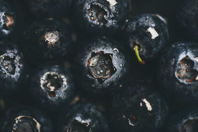 Freshly washed blueberries, horizontal composition, close up of top