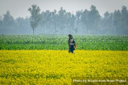 Mother holding her baby in mustard flower field in Bangladesh 47q8g0