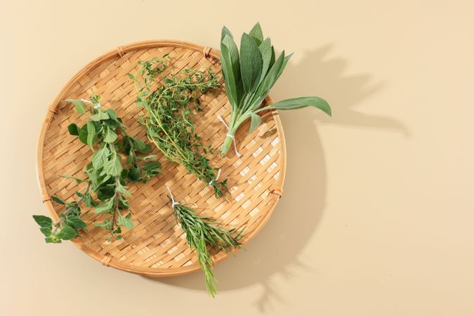 Sage, Rosemary, Oregano, and Thyme  Herbs on Cream Background.