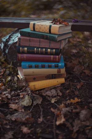 Stack of books on brown dried leaves