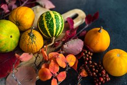 Squash on breadboard with leaves