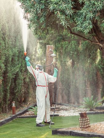 Fumigator in uniform spraying substance on garden