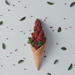 Ice cream cone with red flowers and leaves
