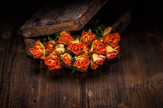 Orange roses in wooden box